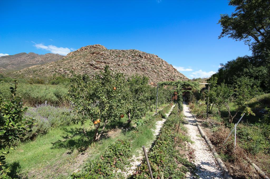 Kogman & Keisie Guest Farm Villa Montagu Eksteriør billede